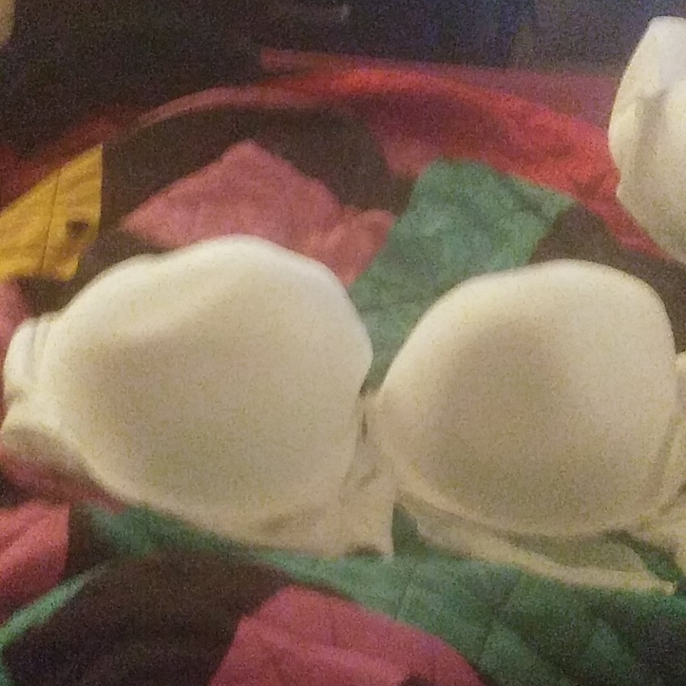 Torrid 360 back smoothing t shirt bra